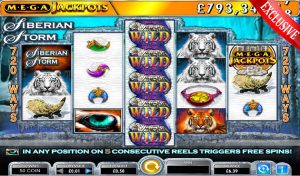 siberian storm slot