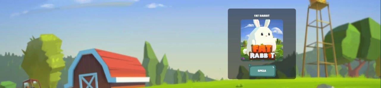 Ikibu Casino Bonus