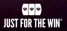 Just for the Win - Spelutvecklare