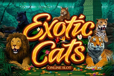 Exotic Cats