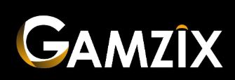 gamzix logo2.JPG