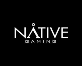 Native Gaming 270 x 218 logo