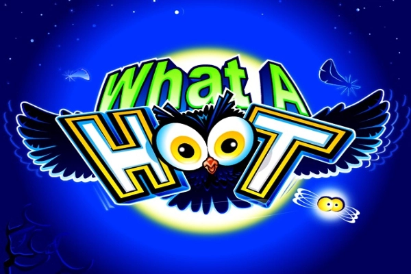 Logo image for What a hoot Gameplay Thumbnail