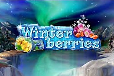 Winter Berries